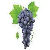 Free play online Grape Dialer APK