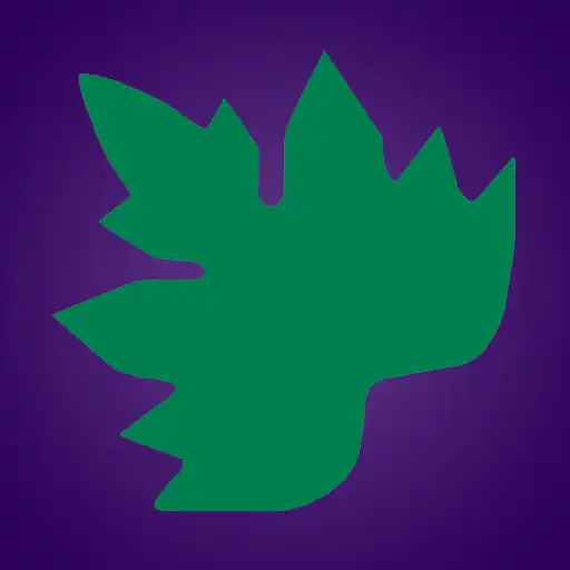 Play Grapevine Jobs APK Play Grapevine Jobs APK