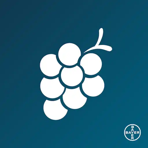 Play GrapeVision APK