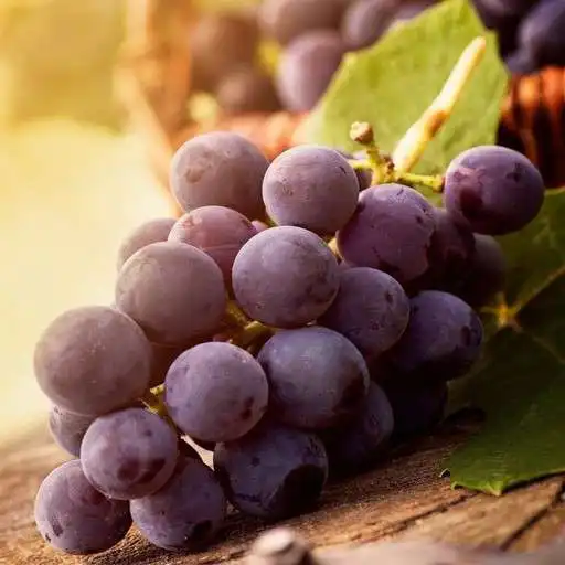 Play Grape Wallpapers APK