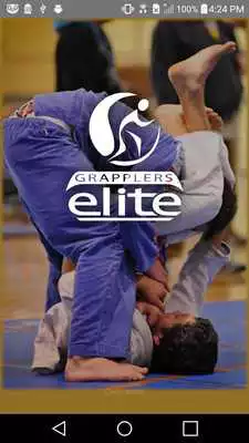 Play Grapplers
