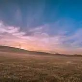 Free play online Grassland Wallpapers APK