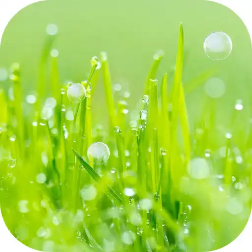 Free play online Grass Live Wallpaper APK