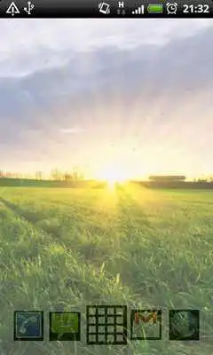 Play Grass Live Wallpaper Play Grass Live Wallpaper