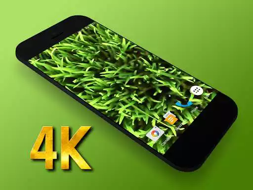 Play Grass Video Live Wallpaper  and enjoy Grass Video Live Wallpaper with UptoPlay