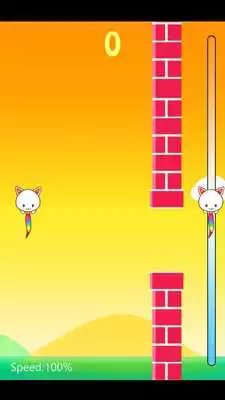 Play Gravity Cat Extreme
