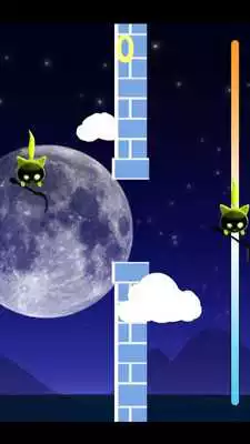 Play Gravity Cat Extreme