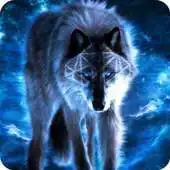 Free play online Gray Wolf Wallpaper Theme APK Free play online Gray Wolf Wallpaper Theme APK