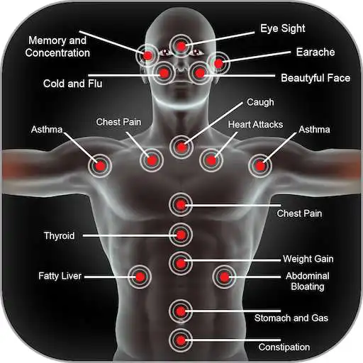 Play Great Body Points APK Play Great Body Points APK