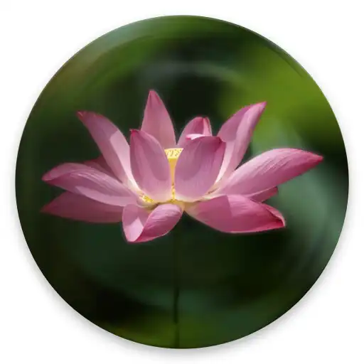 Play Great Compassion Mantra APK