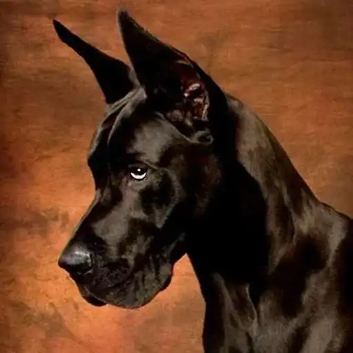 Play Great Dane Dog Simulator APK