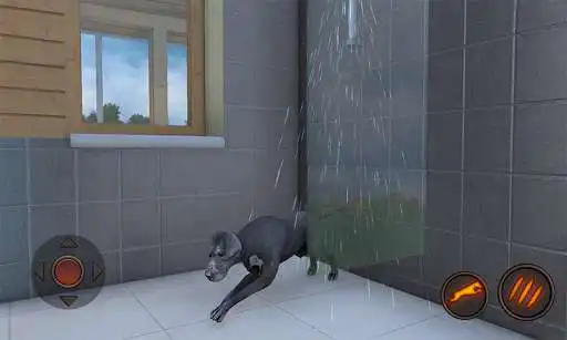 Play Great Dane Dog Simulator  and enjoy Great Dane Dog Simulator with UptoPlay