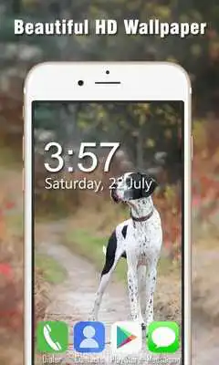 Play Great Dane Live Wallpapers HD