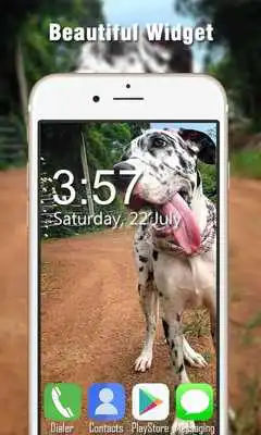 Play Great Dane Live Wallpapers HD