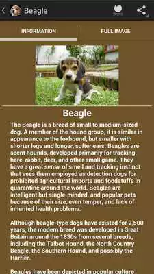 Play Great footballers Play Great footballers