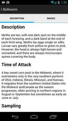 Play Great Lakes Vegetables