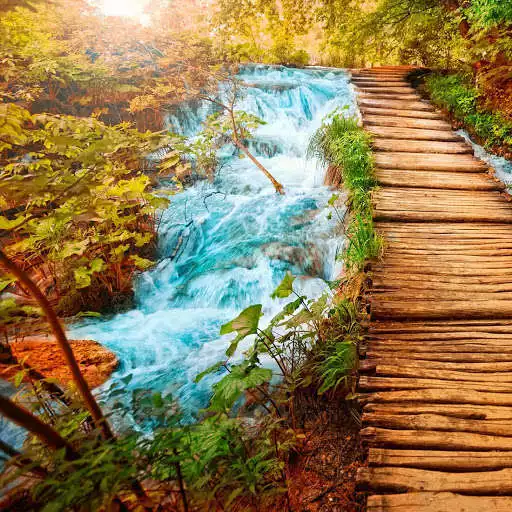 Play Great Waterfall Live Wallpaper