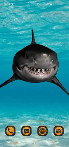 Play Great White Shark Live Wallpaer as an online game online Great White Shark Live Wallpaer with UptoPlay com.mvb2.shark Play Great White Shark Live Wallpaer as an online game Great White Shark Live Wallpaer with UptoPlay