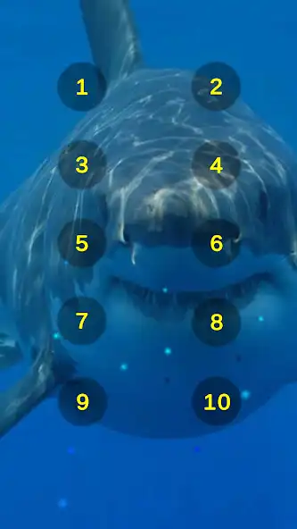 Play Great White Shark Soundboard and enjoy Great White Shark Soundboard with UptoPlay Play Great White Shark Soundboard and enjoy Great White Shark Soundboard with UptoPlay