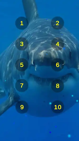 Play Great White Shark Soundboard as an online game online Great White Shark Soundboard with UptoPlay Play Great White Shark Soundboard as an online game Great White Shark Soundboard with UptoPlay