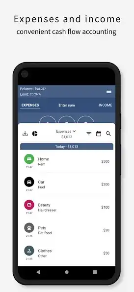 Play Greedy Wallet expense tracker as an online game Greedy Wallet expense tracker with UptoPlay