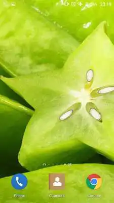 Play Green 4K Live Wallpaper Play Green 4K Live Wallpaper