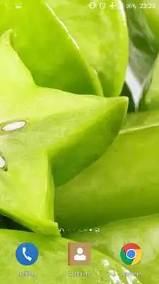 Play Green 4K Live Wallpaper Play Green 4K Live Wallpaper