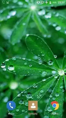 Play Green 4K Live Wallpaper Play Green 4K Live Wallpaper