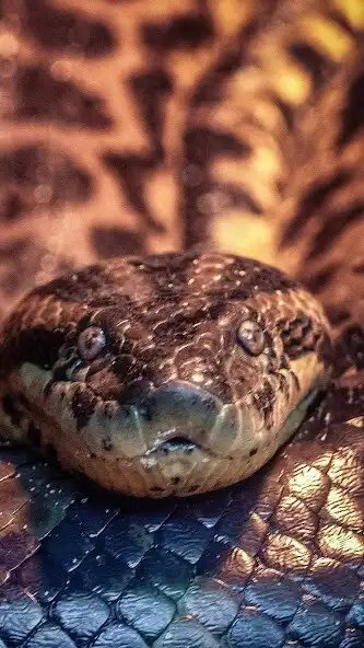 Play Green Anaconda Wallpaper as an online game Green Anaconda Wallpaper with UptoPlay