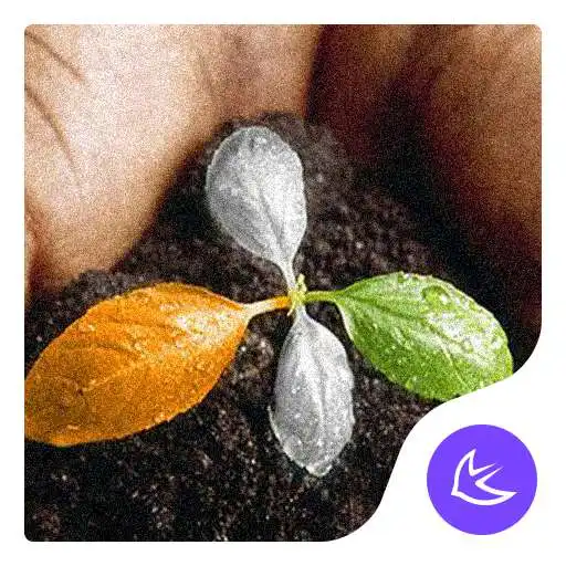 Run free android online Green-APUS Launcher theme APK Run free android online Green-APUS Launcher theme APK