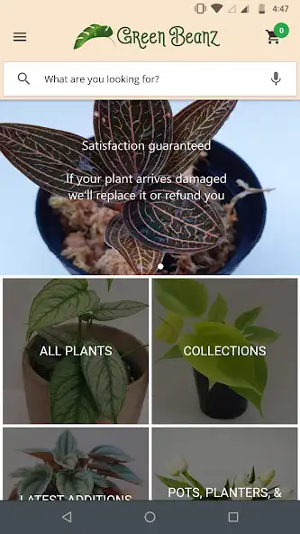 Play Green Beanz Indoor Plants  and enjoy Green Beanz Indoor Plants with UptoPlay