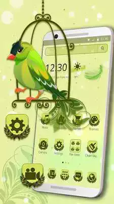 Play Green Bird Jungle