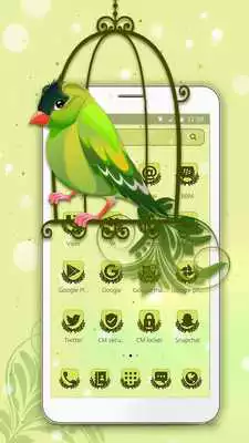 Play Green Bird Jungle