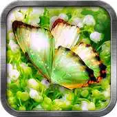 Free play online Green Butterfly Live Wallpaper APK