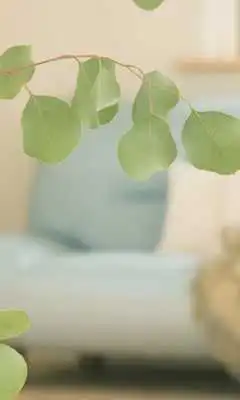 Play Greenery Herbs Wallpapers