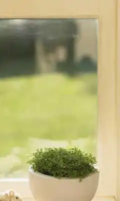 Play Greenery Herbs Wallpapers