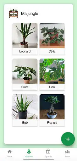 Play GreenEye Identification et Gestion de plantes  and enjoy GreenEye Identification et Gestion de plantes with UptoPlay