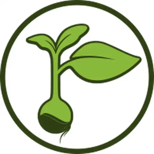 Play Green Fields Solutions APK