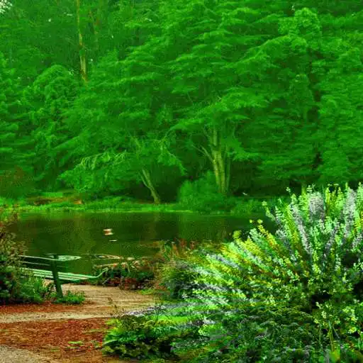 Play Green Forest Lake LWP APK Play Green Forest Lake LWP APK