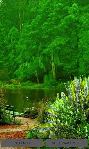 Play Green Forest Lake LWP  and enjoy Green Forest Lake LWP with UptoPlay