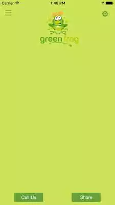 Play Green Frogger Play Green Frogger