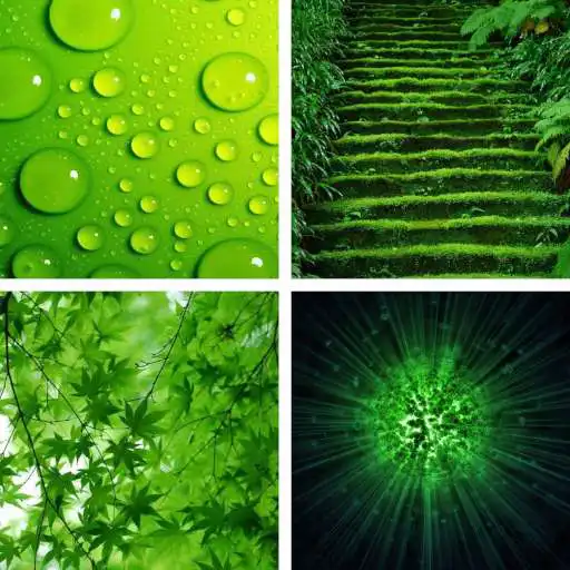 Play Green HD Wallpapers APK