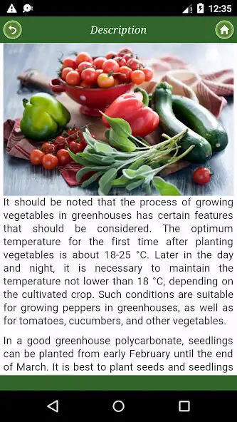 Play Greenhouse vegetables: from "A" to "Z" as an online game Greenhouse vegetables: from "A" to "Z" with UptoPlay
