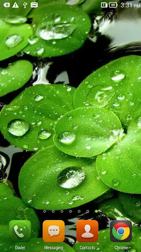 Play Green Leaf Live Wallpaper as an online game Green Leaf Live Wallpaper with UptoPlay