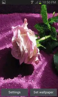 Play Green Leaf Rose LWP