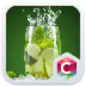 Free play online Green Lime Summer Theme HD APK