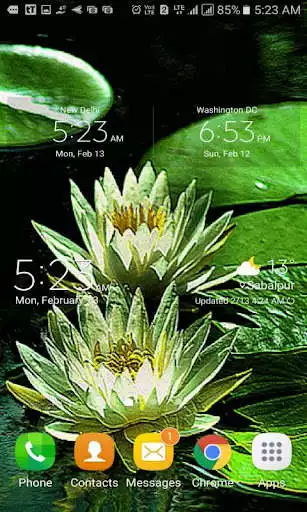Play Green Lotus Live Wallpaper