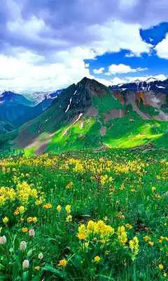 Play Green Mountain Wallpaper