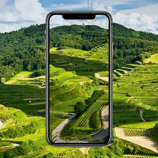 Play Green Nature Wallpaper  and enjoy Green Nature Wallpaper with UptoPlay