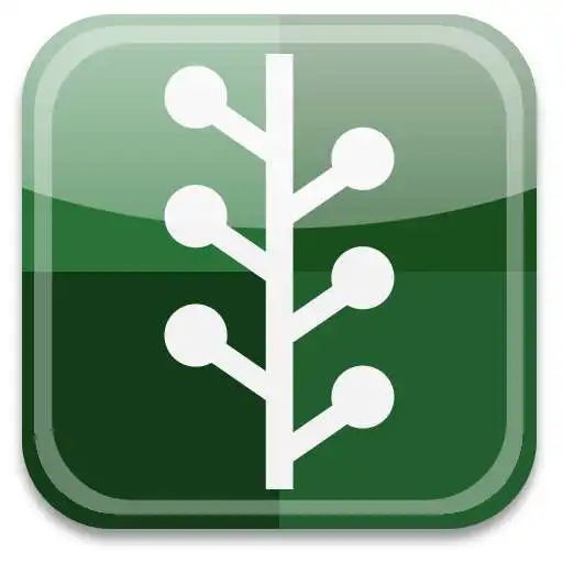 Free play online Green Parrot APK